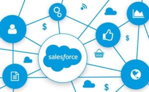 Read more about the article Salesforce Mobile App: Key Reasons it is Important for a Business Enterprise